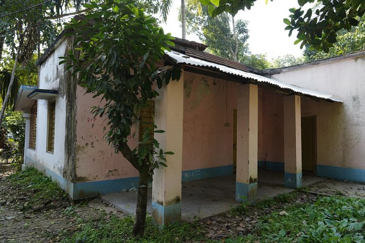 Gopalpur Police Arrest Two Brothers for Attempted Murder