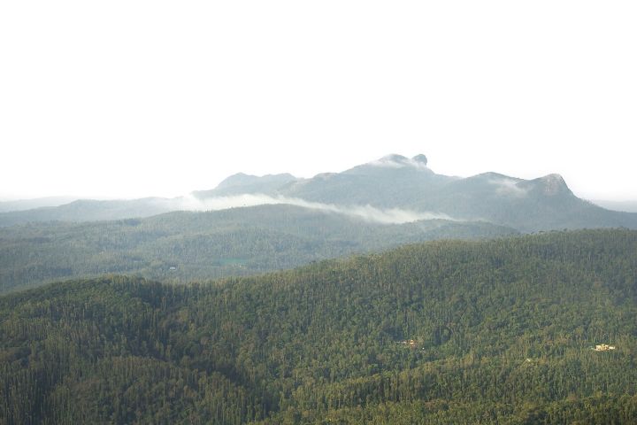 Maharashtra scientists uncover new endemic micro-snail in Western Ghats