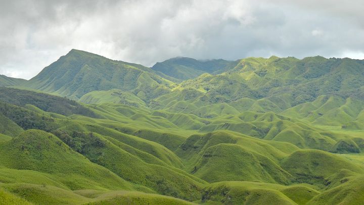 Manipur microbiologist discovers new fungus in rare Sikkim medicinal plant