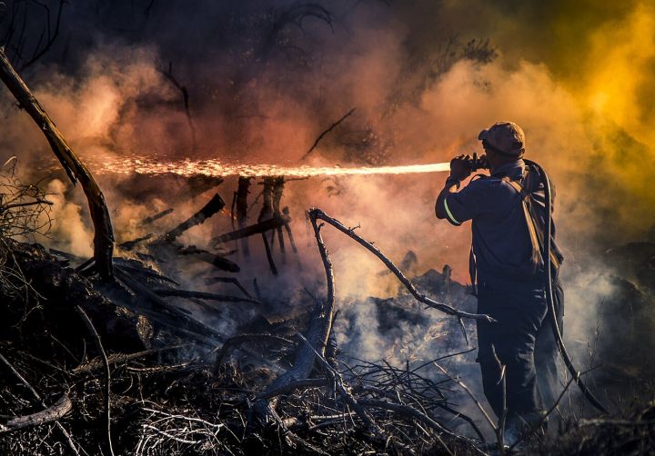 Four Die, Two Injured in Shoe Factory Fire in New Delhi