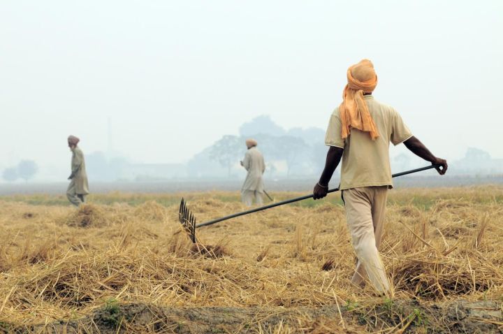 No Impact: Punjab, Haryana Stubble Burning Didn't Affect Delhi's Air Quality (2024-26)