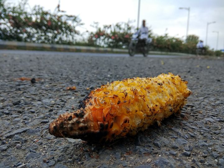 Gujarat Startup Claims Ethanol Production From Human Hair